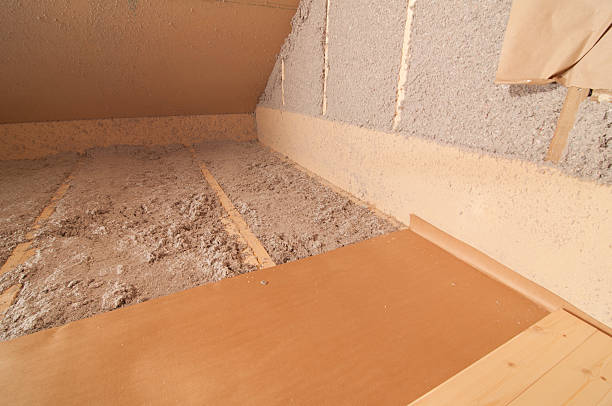 Best Insulation Removal Services  in Blountstown, FL